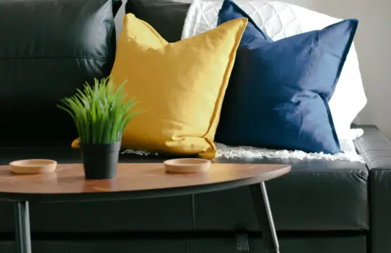 0ed05833 cdce 4ec3 b3a2 24ec382a1b3a.jpg