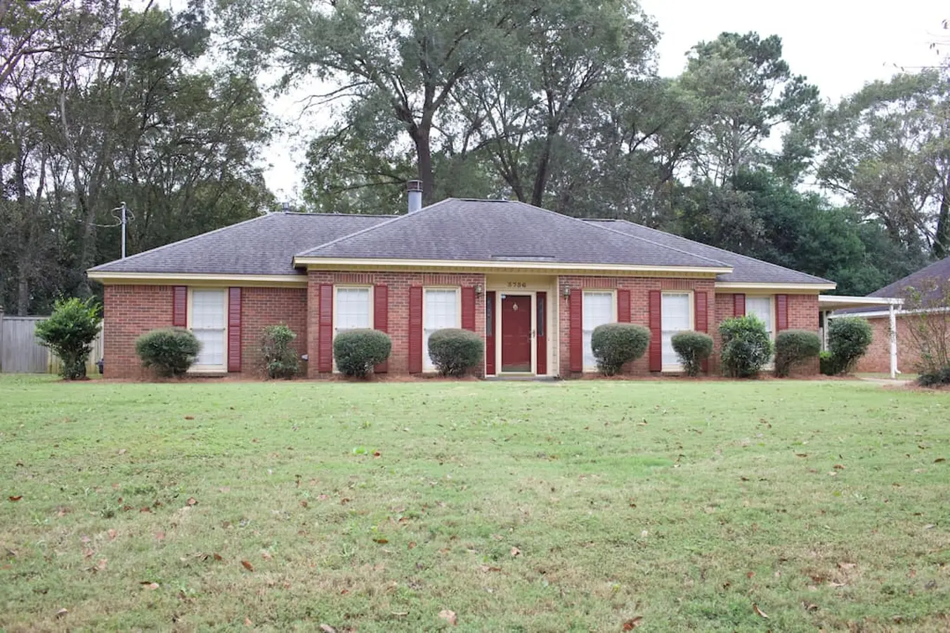 1ab74467 fe49 410d 94f4 1486459d5a85.jpg