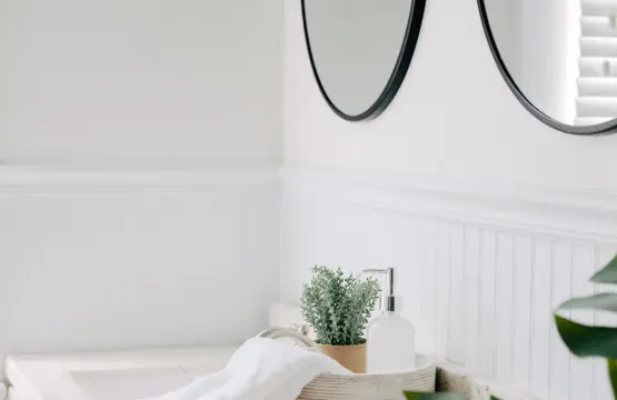 2c7812bd 5cf1 4921 b8a2 9927f4ce5197.jpg