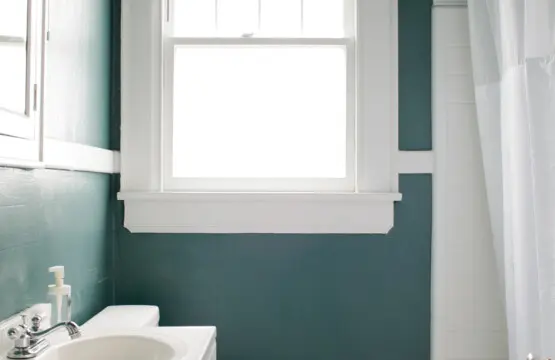 7a7c6546 b236 4c5b 887f 643b5d680965.jpg