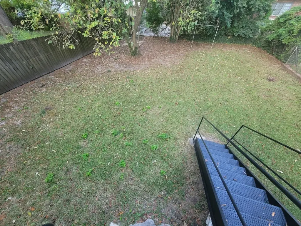 d5f31f39 cc8f 41b5 8292 86bafc24e55e.jpg