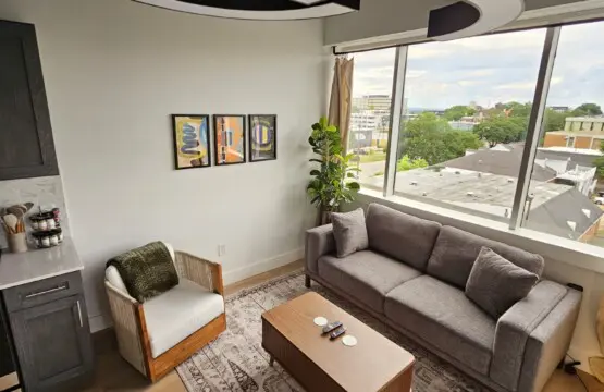 29916789 792c 4a88 921e 9dd716216678.jpg