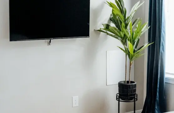 095c5ac4 f184 4308 a923 fa1b598a6734