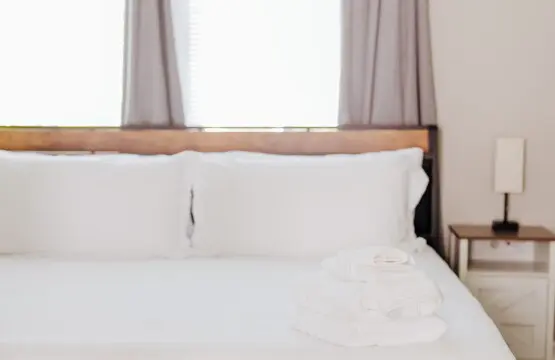 fb822ced 36d3 4f46 bff3 ec5af25d21e9