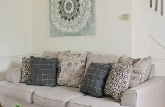 0e05d9dd dd32 41ec bff3 9b958d56e499