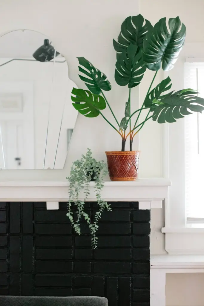 0f7835ee 4558 45b9 b297 20ab5b76a81b