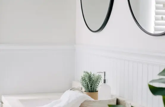 24473e31 07e2 4f6a 88a5 2af6a6568808