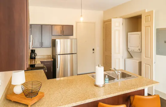 44a886c6 0bc1 4721 8f03 a9a9fc3019dc