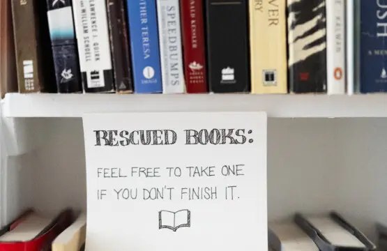 4c8389ce 127e 499a 892c 5a348e1ec319