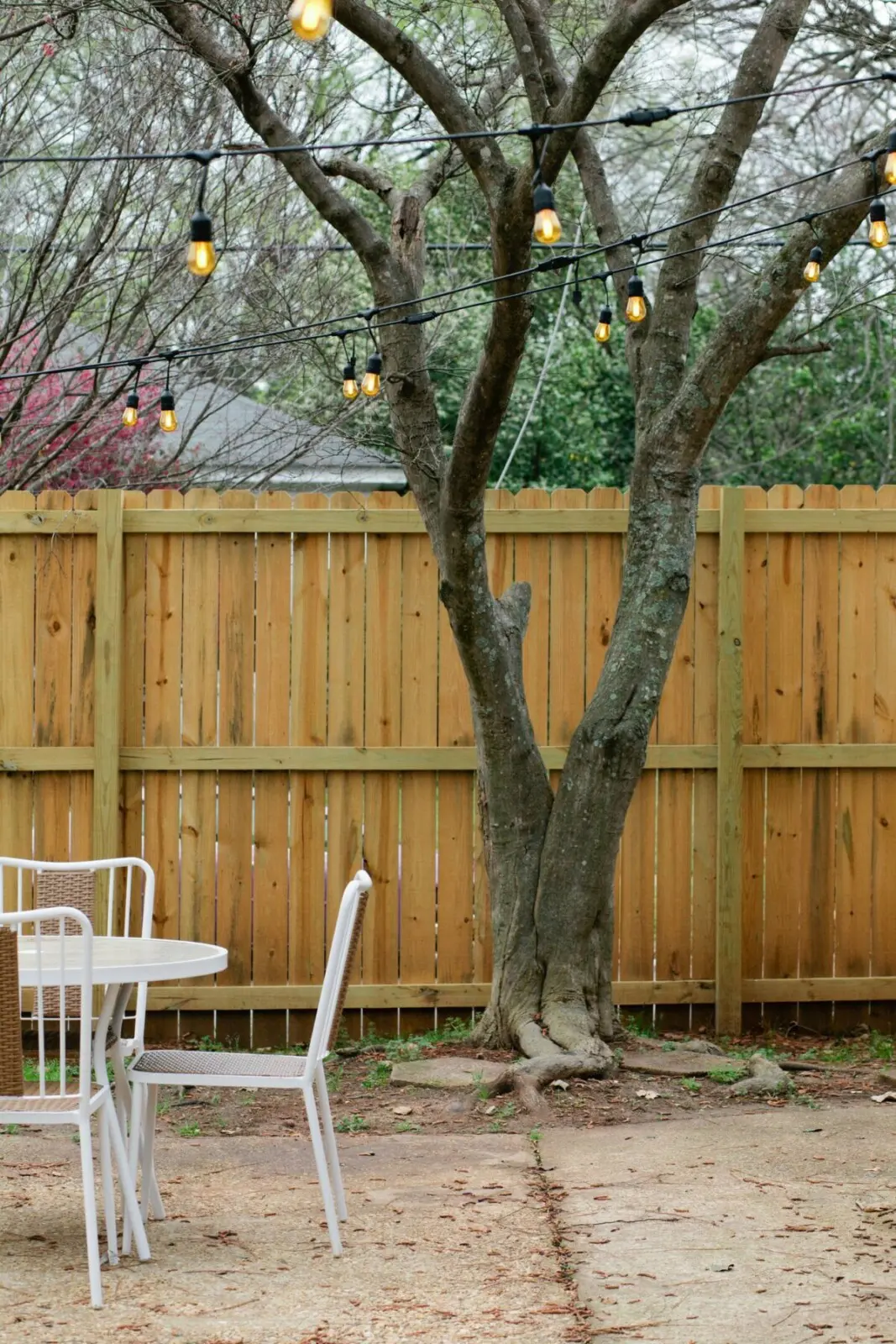 5004375a 2b62 4bc9 98a9 8aec81484b29