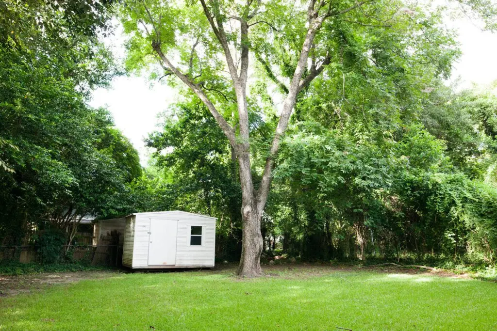 51f917d5 29e6 4eaa ab05 9b955b62ee04