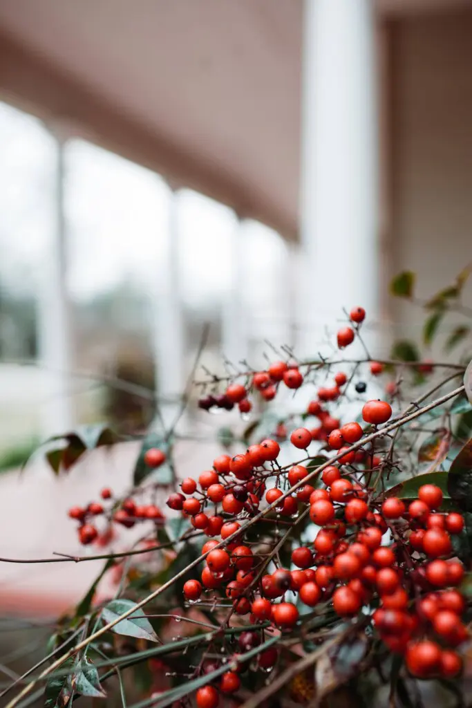 55ea7887 e57f 4966 9d97 bdecdabc6c80