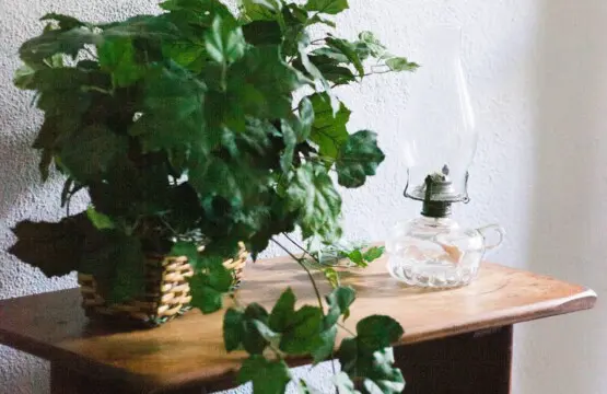 59fd83c3 0f81 49ae bd06 152127794b85