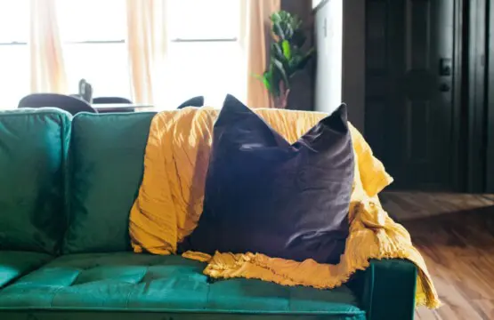 8f59a40f 3a72 424e bc2f b89c58fc09ed