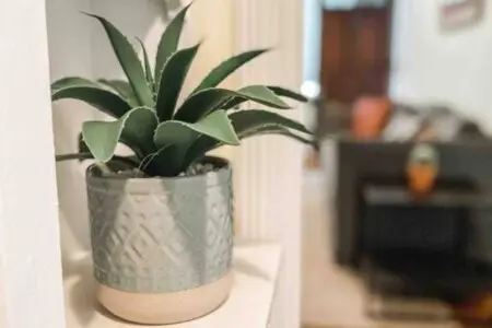 939b0511 6b9c 45a5 a3af 9e3b8203ba65