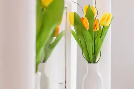 a0e17cfe 2286 4a9e b9b2 e5b2250af4c8