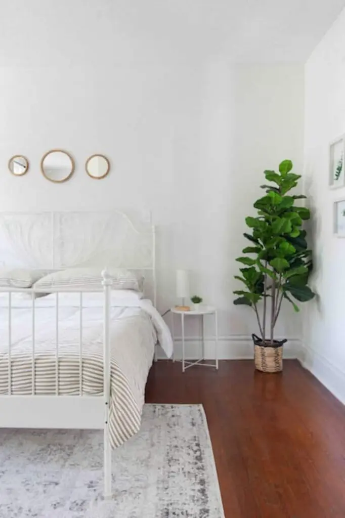 a1ad6edb 4a45 40c8 8558 16fea16a044f