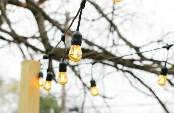 ce785c21 bee0 4865 8748 0a99c3ff837c