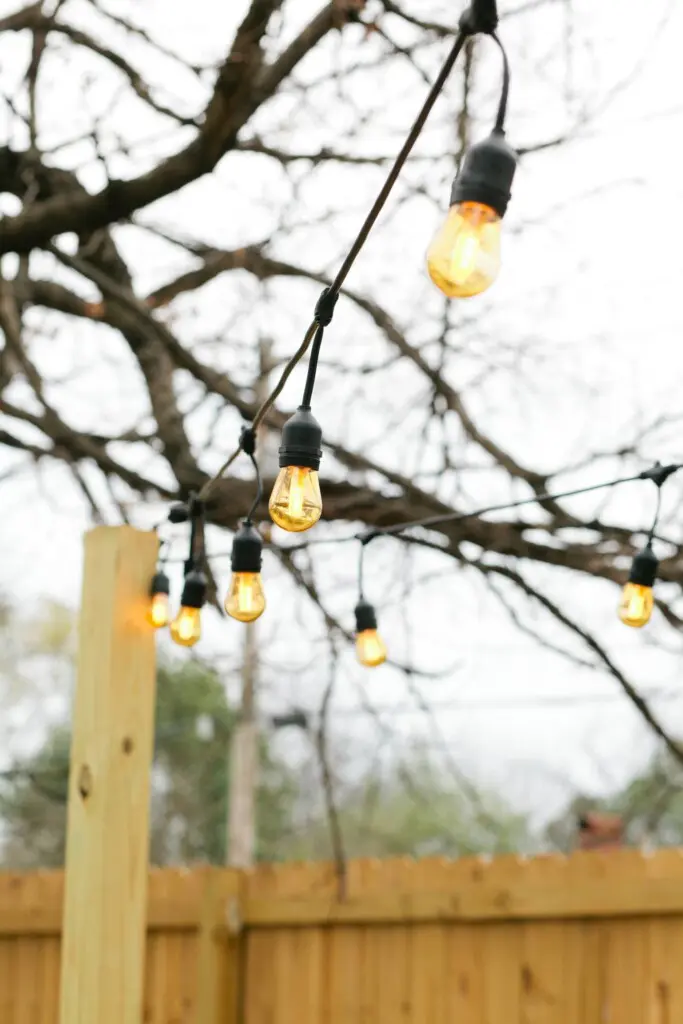 ce785c21 bee0 4865 8748 0a99c3ff837c