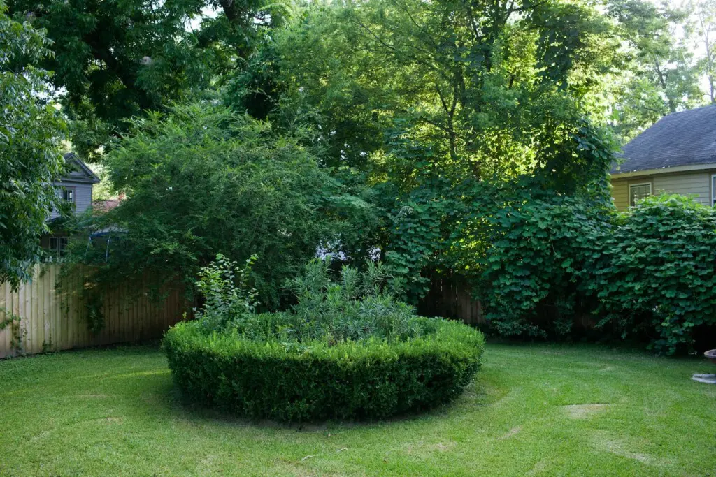 e0a07c54 aa4d 4907 81cd decf9bab8574