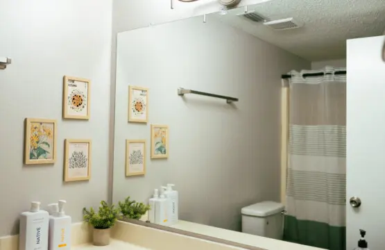 ef9a0bd7 0873 40fb b236 853de28e7732