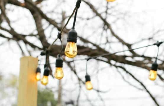 ce785c21 bee0 4865 8748 0a99c3ff837c